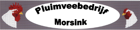 Vacature Enter